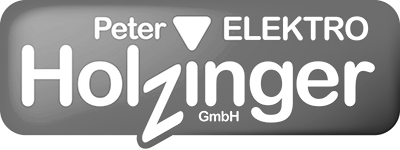 Logo Holzinger